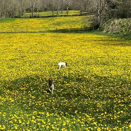 Appartamento Casa Sastre Forcat